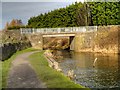 Old Rose Grove Bridge (Bridge#125)