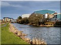 Leeds and Liverpool Canal, Rose Grove