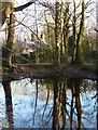 SP9711 : Ashridge Estate - Pond, reflections and cottages by Rob Farrow