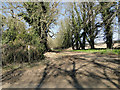 Tree lined-footpath by Sudbourne Hall