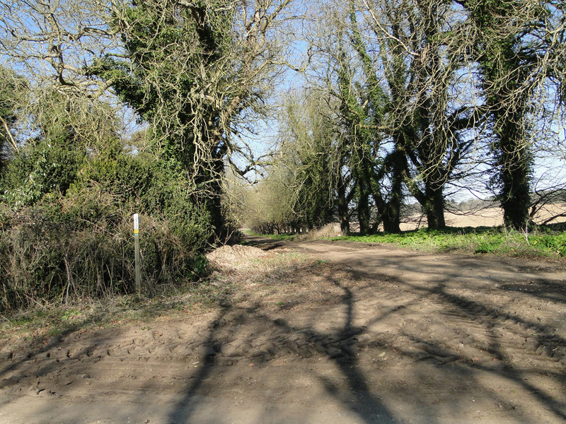 Tree Lined Footpath By Sudbourne Hall © Adrian S Pye Geograph