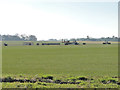 TM4354 : Farming activity on Lambert's Grove by Adrian S Pye