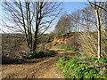 Disused pit off High House Farm Road