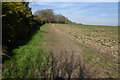 Path going northwards by field edge