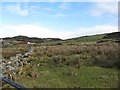 Rough grazing east of the unnamed mountain road