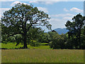 A glimpse of the Malvern Hills