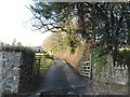 The road to Druid Farm, near Ashburton