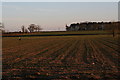 Across the beck and a cultivated field in the direction of Horsington