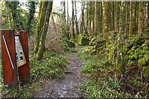 NX4858 : Burnside Trail with Information Board by Billy McCrorie