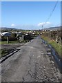 The deteriorating surface of Cottage Road, Killeen