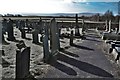 Graveyard At Bethlehem Chapel