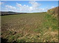 Arable field near Half Acre Farm