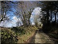 Lane near Coad