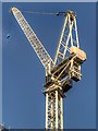 Crane at Etihad Stadium