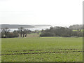 Redgate Farm on the banks of the River Orwell