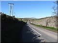 Demesne Wall of the Seaforde Estate