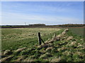 View from the churchyard, South Kyme