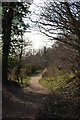 Footpath by Mill Wood