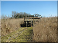 TG3813 : Viewing platform on the edge of Upton Broad by Evelyn Simak