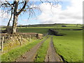 Edymore Townland