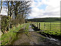 Muddy lane, Edymore