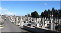 The graveyard of the Church of the Immaculate Conception, Aughlisnafin