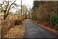 Road to New Galloway at Carse Wood