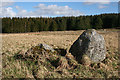 Stoneyfield Stone Circle (4)