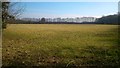 Field, Parsonage Farm, Boughton Monchelsea (2)