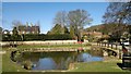 Village duck pond, Brantingham