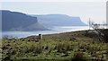 NM4739 : Grazing above Loch na Keal by Richard Webb