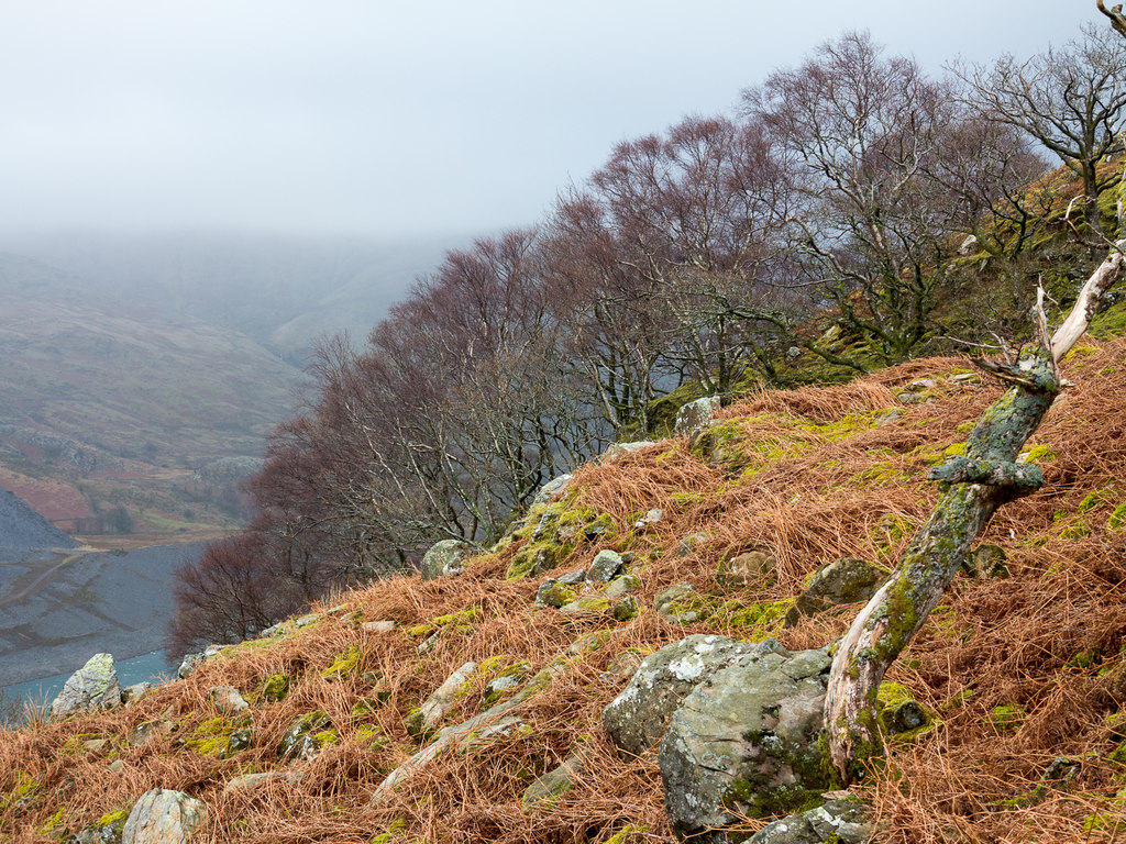 Boulders on steep slope © Trevor Littlewood :: Geograph Britain and Ireland