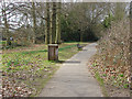 Path by Broadwater Lake