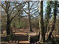 Top Bridge, Ashenground Park