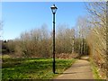 Path, Bolnore Wood