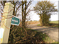 Footpath around the headland