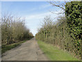 Farm driveway