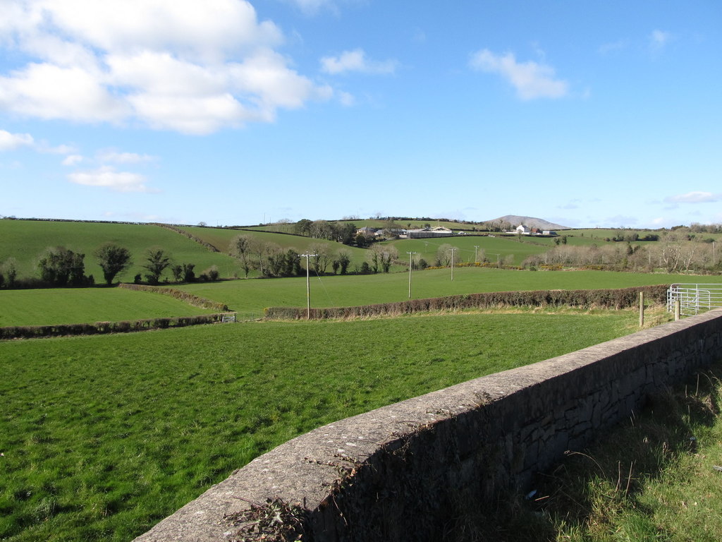 Farmland west of the Demesne Road © Eric Jones :: Geograph Ireland