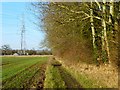 Farmland, Bishopstone