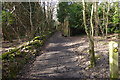 Bridleway going west from path junction