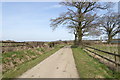 Bridleway going northwards by Jury Farm