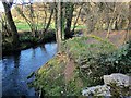 SX8371 : River Lemon below Holbeam Mill by Derek Harper