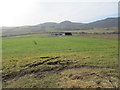 Arable land near Contin