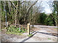 Path into Hamlet Wood from Workhouse Lane