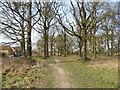 Path through Park Wood