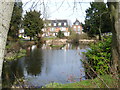 Pond at Theydon Grove