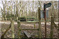 Footpath reaches stile on access road