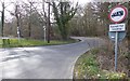 Looking into The Drift from the Forest Road end