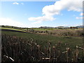 Drumlin farmland at Aughlisnafin TD