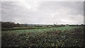 Tregurtha Downs from Plain-an-Gwarry